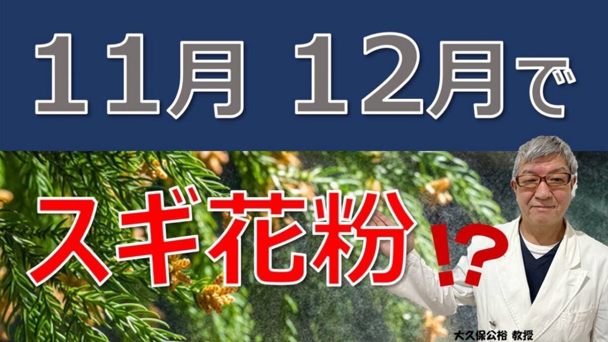 11 月 の 花粉