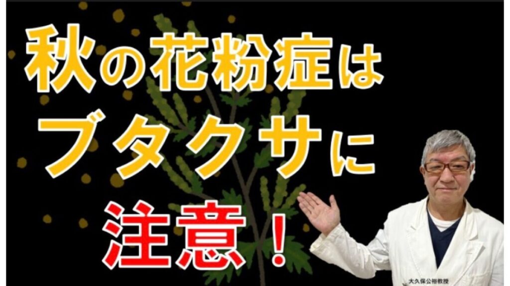 8月9月10月秋の花粉症は何？ブタクサ花粉症の特徴は？大久保公裕先生がやさしく解説