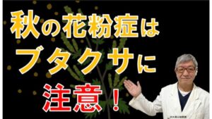 8月9月10月秋の花粉症は何？ブタクサ花粉症の特徴は？大久保公裕先生がやさしく解説