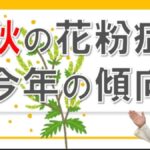 秋の花粉症の特徴や今年の傾向について、大久保公裕先生がやさしく解説