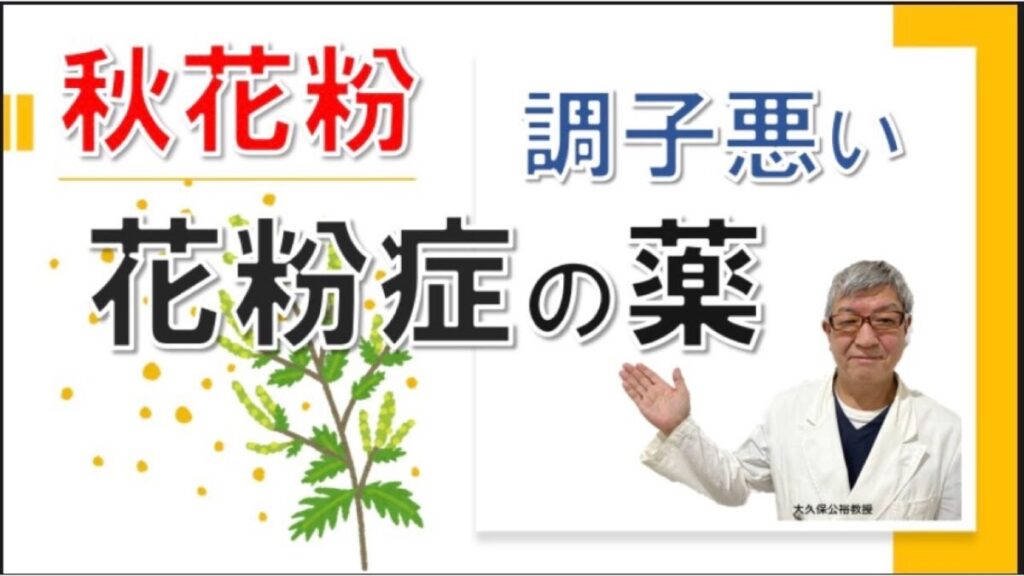 秋の花粉症の人必見！花粉症の薬はどんなもの？大久保公裕先生がやさしく解説