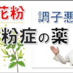 秋の花粉症の人必見！花粉症の薬はどんなもの？大久保公裕先生がやさしく解説