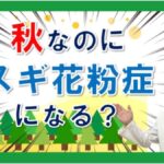 秋にスギ花粉症になる⁉来春の飛散傾向は？大久保公裕先生がやさしく解説