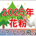 2025年スギ花粉は多く飛ぶ？飛び始めはいつ頃？ 12月でも鼻水が出るのはなぜ？大久保先生がやさしく解説