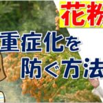 花粉症の重症化を防ぐ方法～薬の効果や副作用は？大久保公裕先生がやさしく解説