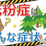 この症状は花粉症？花粉症に予兆はある？大久保公裕先生がやさしく解説