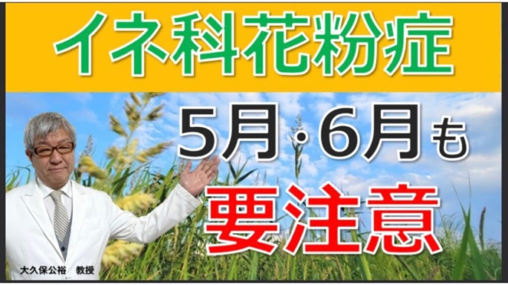 ５月６月の花粉症の原因は何？イネ科花粉症の特徴は？大久保公裕先生がやさしく解説