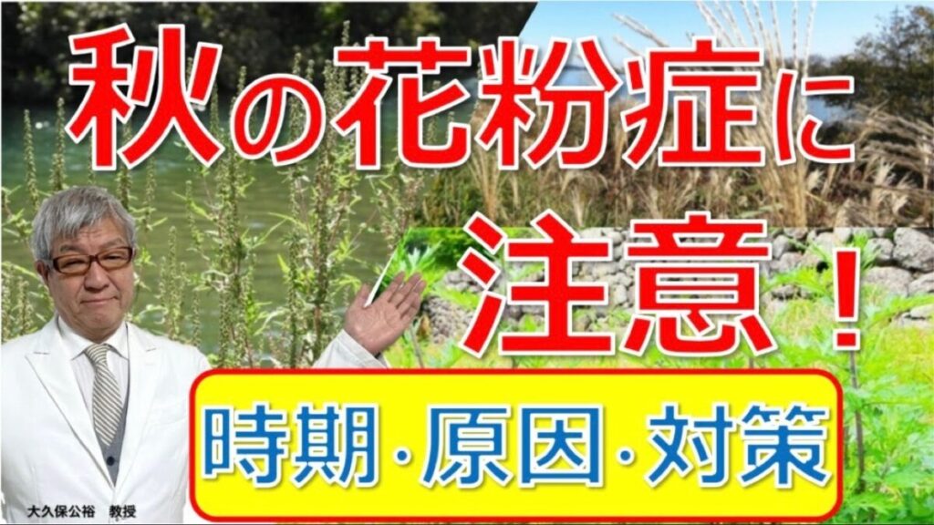【早めに出る⁉】秋の花粉症の原因は何？いつから始まる？対策法を大久保先生がやさしく解説