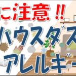 秋タイトル:ハウスダストアレルギー(ダニ)が秋にひどくなる原因と対処法、秋の花粉症との見分け方~大久保公裕先生が解説