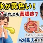 【2026最新】鼻水が黄色いのは蓄膿症？花粉症併発のサインと治し方を松根彰志先生が解説