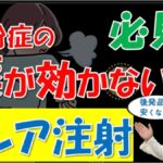薬が効かない人へ。重症花粉症の注射「ゾレア」の効果・費用・後発品は？大久保公裕先生と2026年最新版をチェック