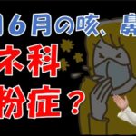 【2026】5月6月の咳、鼻水の原因はイネ科花粉症かも⁉特徴や対処法について大久保公裕先生が解説