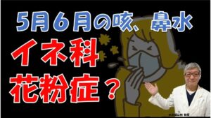 【2026】5月6月の咳、鼻水の原因はイネ科花粉症かも⁉特徴や対処法について大久保公裕先生が解説