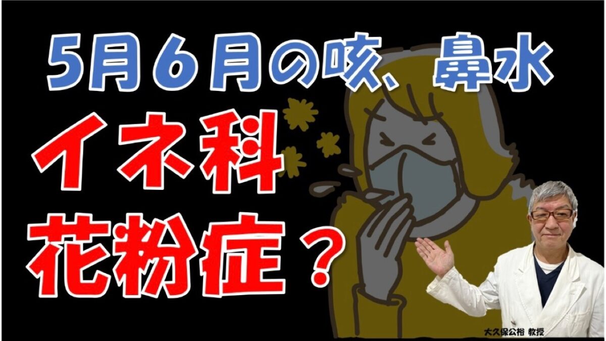 2026】5月6月の咳、鼻水の原因はイネ科花粉症かも⁉特徴や対処法