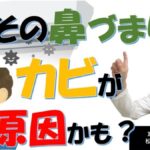 エアコンのカビで副鼻腔炎になる?原因・症状・対策を耳鼻科専門医が解説(松根彰志先生)