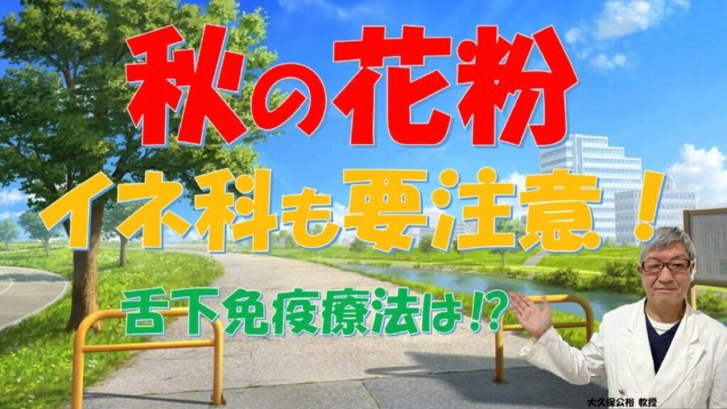 秋はブタクサ・イネ科の花粉症に注意！イネ科にも舌下免疫療法？専門医が解説【大久保公裕教授】