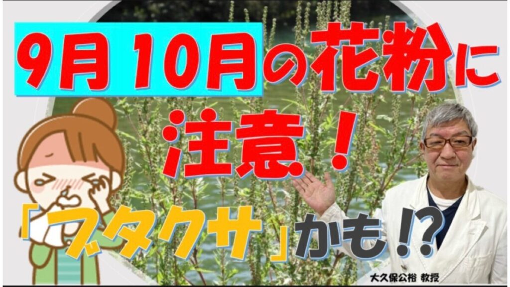 9月のくしゃみ・鼻水・目のかゆみは「ブタクサ花粉症」かも⁉ 専門医・大久保公裕教授が解説